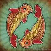 A red and yellow fish is in the center of a green background.