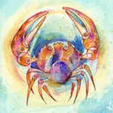 A crab is painted in watercolor on paper.